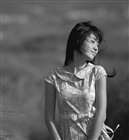dailyPhoto14